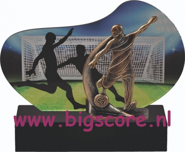 Voetbal Metaalbeeld + Acrylachtergrond TRK783